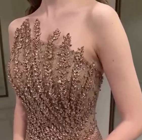 Chic Camel Crystal Strapless Mermaid Tulle Prom Dress with Train LP009